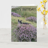 Verjaardagskaart 'Peep Bo' Collie Kaart (Gele Bloem)