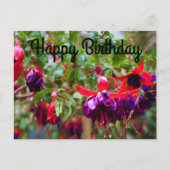 Verjaardagskaart Rode en Paarse Fuchsia #2 Briefkaart (Voorkant)