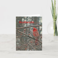 Verjaardagskaart, "ROODHARIGEN ZIJN SPECIAAL EN UN