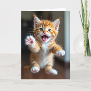 Verjaardagskaart Springlevende Kitten Kaart
