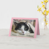 Verjaardagskaart van adorable zwart/witte kat kaart (Gele Bloem)