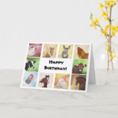 Verjaardagskaart voor boerderijdieren kaart (Gele Bloem)