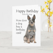 Verjaardagskaart voor Cattle Dog Kaart (Gele Bloem)