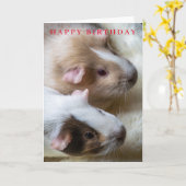 verjaardagskaart voor cavia's kaart (Gele Bloem)