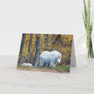 Verjaardagskaart voor de berggeit kijkt naar je. kaart