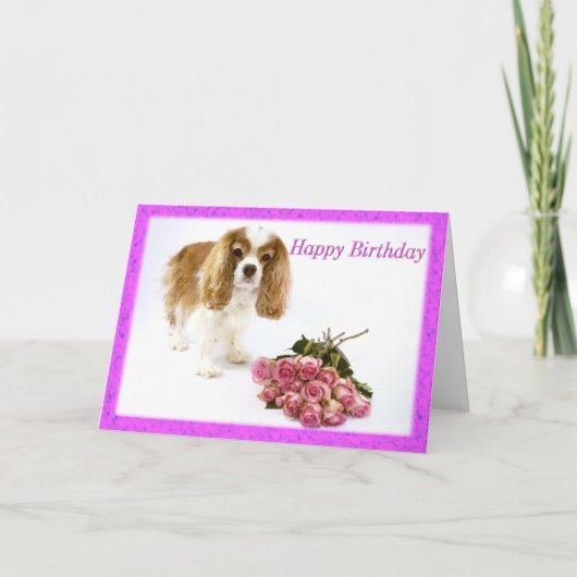 Verjaardagskaart voor een Cavalier King Charles Sp Kaart (Voorkant)