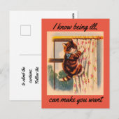 Verjaardagskaart voor een herstellend poesje briefkaart (Voorkant / Achterkant)