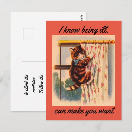 Verjaardagskaart voor een herstellend poesje briefkaart (Voorkant / Achterkant)