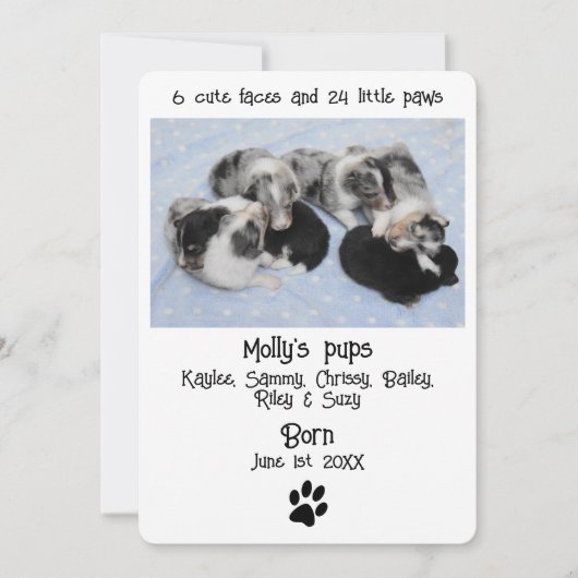 Verjaardagskaart voor een malse puppy (Voorkant)