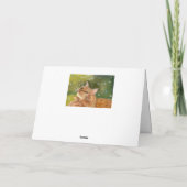 Verjaardagskaart voor kat met oranje vacht kaart (Achterkant)