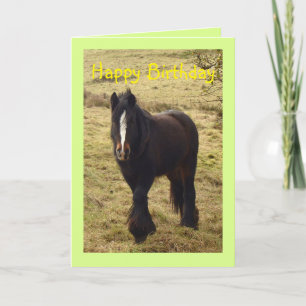 Verjaardagskaart voor zigeuner-pony kaart