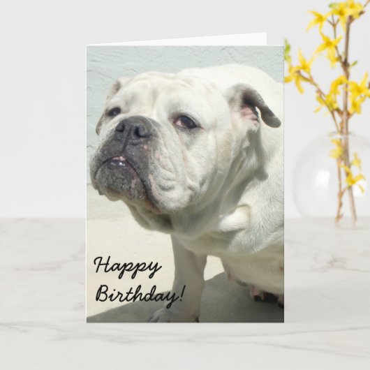 Verjaardagskaart witte bulldog kaart (Gele Bloem)