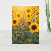 VERJAARDAGSKAART ZONNEBLOEMVELD KAART (Voorkant)