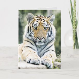 VERJAARDAGSKAARTEN MET KUNST VAN BENGALSE TIJGER KAART