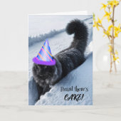 Verjaardagskat die in diepe sneeuw loopt kaart (Gele Bloem)