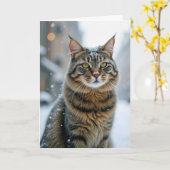 Verjaardagskat in de sneeuw kaart (Gele Bloem)