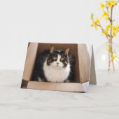 Verjaardagskat in Kartondoos Kaart (Gele Bloem)