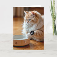 Verjaardagskat met lege voerbak en slim horloge