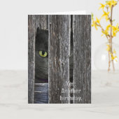 Verjaardagskat verstopt zich achter schuurhout kaart (Gele Bloem)