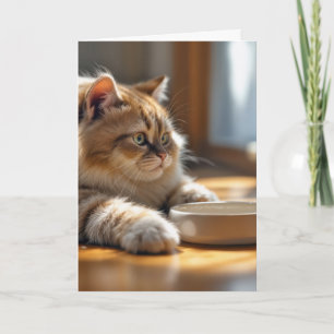 Verjaardagskat Wachten Bij Een Lege Eetbak Kaart