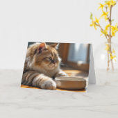 Verjaardagskat Wachten Bij Een Lege Eetbak Kaart (Gele Bloem)