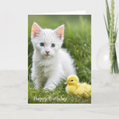 Verjaardagskitten met eendje kaart (Voorkant)