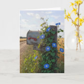 Verjaardagslandpostbus met Morgenwinde Kaart (Gele Bloem)