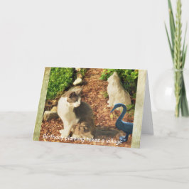 Verjaardagsplanning neemt een dorp, katten en vrie kaart