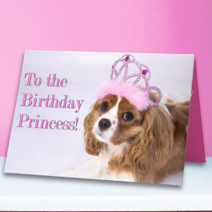 Verjaardagsprinses Cavalier King Charles kaart
