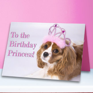 Verjaardagsprinses Cavalier King Charles kaart
