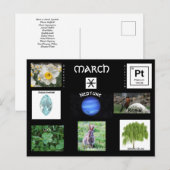 Verjaardagssymbolen in maart briefkaart (Voorkant / Achterkant)