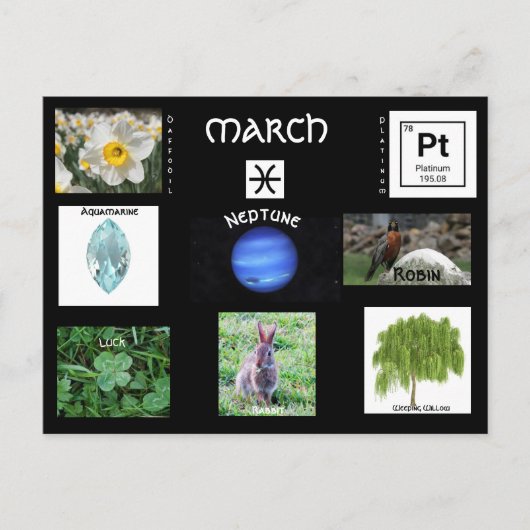 Verjaardagssymbolen maart ansichtkaart briefkaart (Voorkant)