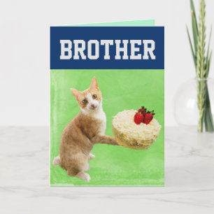 VERJAARDAGSTAART BROER KAT GROTE VERJAARDAGSKAART KAART