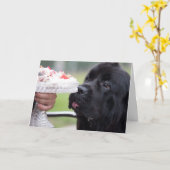 Verjaardagstaart en hond kaart (Gele Bloem)