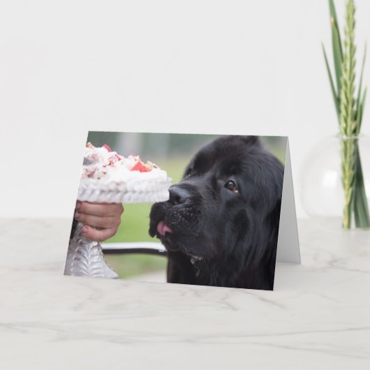 Verjaardagstaart en hond kaart (Voorkant)