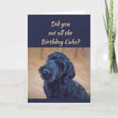 Verjaardagstaart Humor Schattige Black Curly Dog P Kaart (Voorkant)