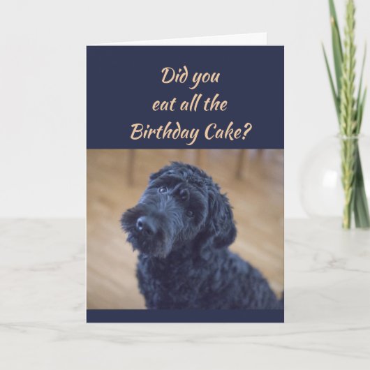 Verjaardagstaart Humor Schattige Black Curly Dog P Kaart (Voorkant)