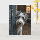 Verjaardagsterriër gluren rond een deur kaart (Gele Bloem)
