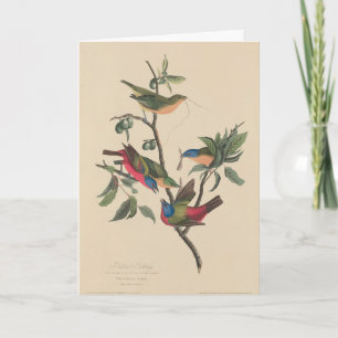 Verjaardagsuitnodiging Havell Audubon Painted Bun Kaart