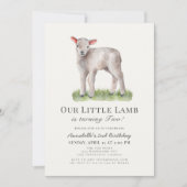 Verjaardagsuitnodiging Little Lamb Kids Kaart (Voorkant)