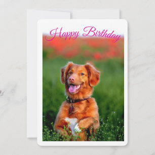 Verjaardagsuitnodiging voor een schattige puppy kaart