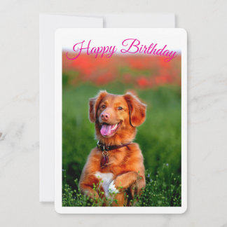 Verjaardagsuitnodiging voor een schattige puppy kaart
