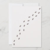 Verjaardagsuitnodiging voor insecten • Uitnodiging (Achterkant)