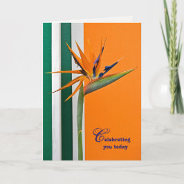 verjaardagsvogel van Paradise Kaart