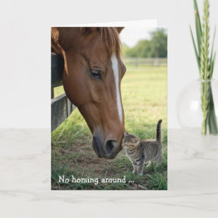 Verjaardagsvrienden Paard met tabby poesje Kaart
