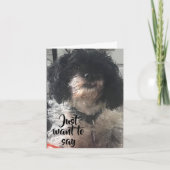 VERJAARDAGSWENS IS DAT WE EEN BOT/EEN BIEFSTUK KRI KAART (Voorkant)