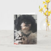 VERJAARDAGSWENS IS DAT WE EEN BOT/EEN BIEFSTUK KRI KAART (Gele Bloem)