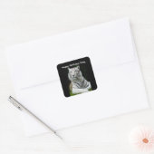 Verjaardagswens Witte Tijger Vierkante Sticker (Envelop)
