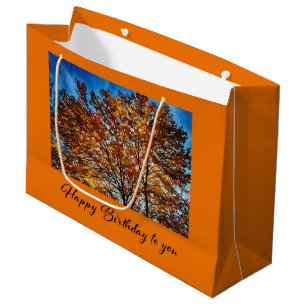 Verjaardagswens Zak Groot Cadeauzakje