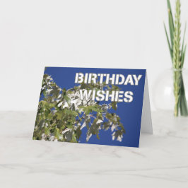 Verjaardagswensen Bladerrijke populier, blauwe luc Kaart